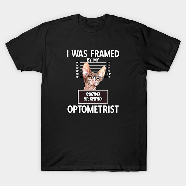 I Was Framed By My Optometrist T-Shirt by Hey Moosey